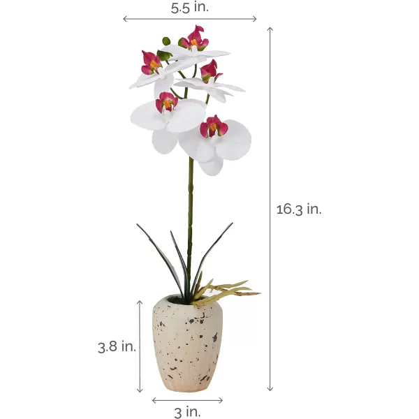 Mikasa Artificial Orchid in Pot, Real Touch Phalaenopsis Orchid, Faux Aged Cement Pot, 22-Inch Double Branch, White/Pink