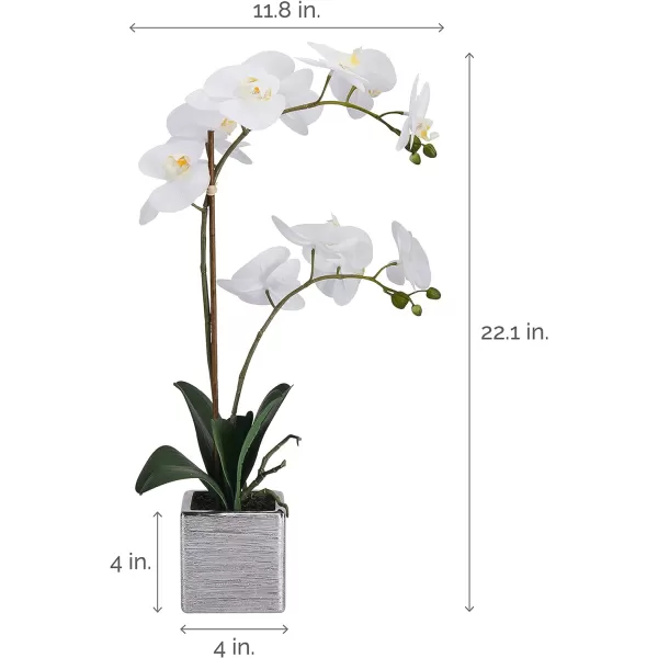 Mikasa Artificial Orchid in Pot, Real Touch Phalaenopsis Orchid, Silver Texture Ceramic Pot, 22-Inch Double Branch, White/Pink