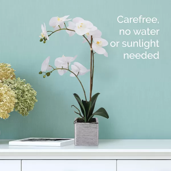 Mikasa Artificial Orchid in Pot, Real Touch Phalaenopsis Orchid, Silver Texture Ceramic Pot, 22-Inch Double Branch, White/Pink