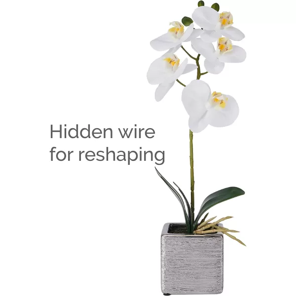 Mikasa Artificial Orchid in Pot, Real Touch Phalaenopsis Orchid, Silver Texture Ceramic Pot, 22-Inch Double Branch, White/Pink