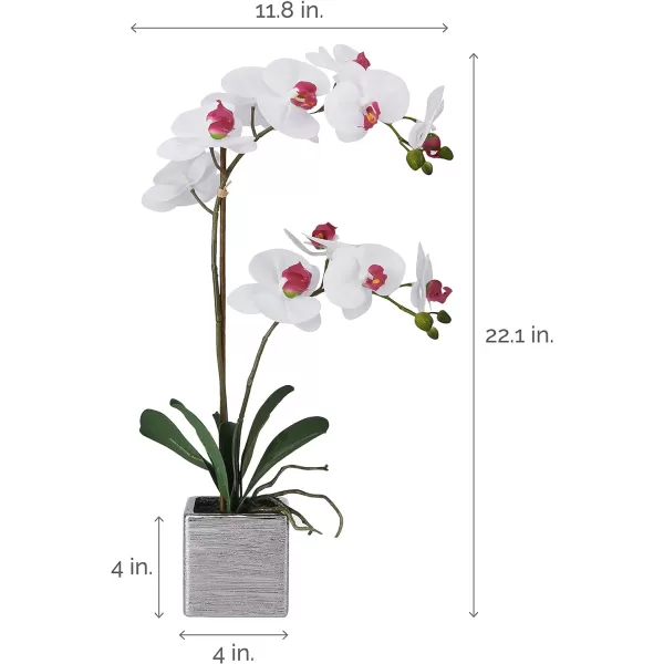 Mikasa Artificial Orchid in Pot, Real Touch Phalaenopsis Orchid, Silver Texture Ceramic Pot, 22-Inch Double Branch, White/Pink