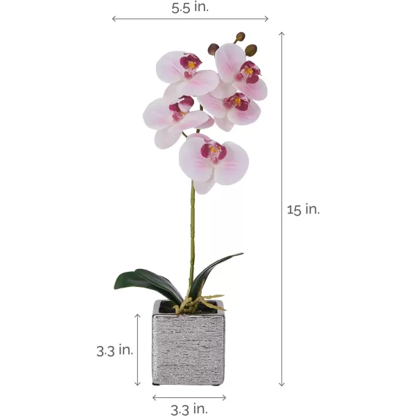 Mikasa Artificial Orchid in Pot, Real Touch Phalaenopsis Orchid, Silver Texture Ceramic Pot, 22-Inch Double Branch, White/Pink
