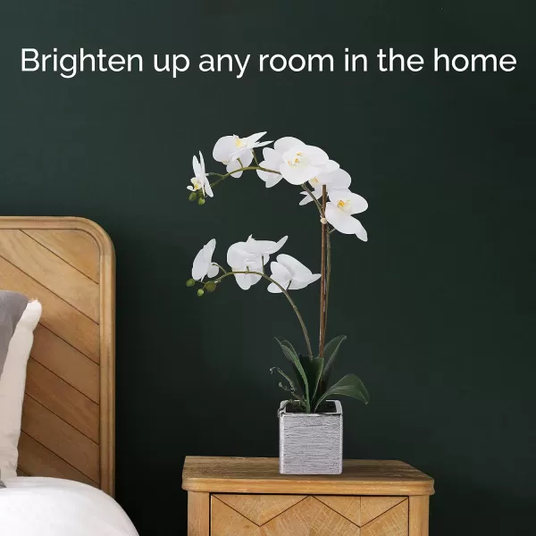 Mikasa Artificial Orchid in Pot, Real Touch Phalaenopsis Orchid, Silver Texture Ceramic Pot, 22-Inch Double Branch, White/Pink