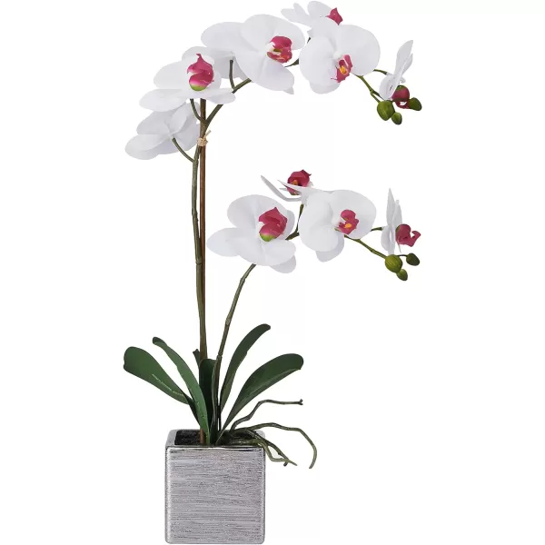 Mikasa Artificial Orchid in Pot, Real Touch Phalaenopsis Orchid, Silver Texture Ceramic Pot, 22-Inch Double Branch, White/Pink