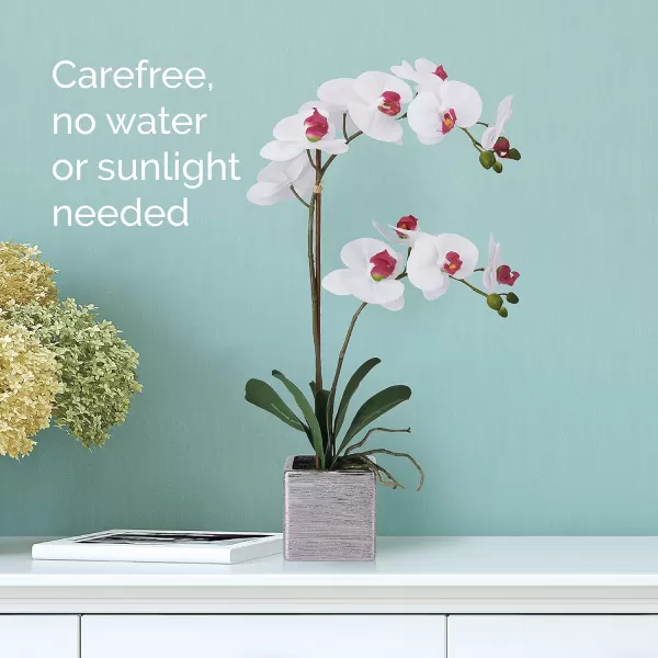 Mikasa Artificial Orchid in Pot, Real Touch Phalaenopsis Orchid, Silver Texture Ceramic Pot, 22-Inch Double Branch, White/Pink
