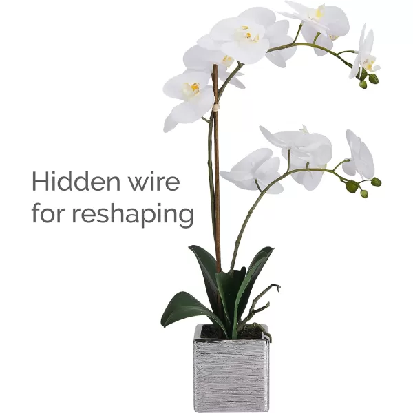 Mikasa Artificial Orchid in Pot, Real Touch Phalaenopsis Orchid, Silver Texture Ceramic Pot, 22-Inch Double Branch, White/Pink