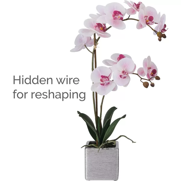 Mikasa Artificial Orchid in Pot, Real Touch Phalaenopsis Orchid, Silver Texture Ceramic Pot, 22-Inch Double Branch, White/Pink