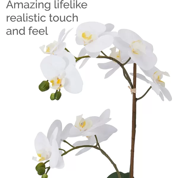 Mikasa Artificial Orchid in Pot, Real Touch Phalaenopsis Orchid, Silver Texture Ceramic Pot, 22-Inch Double Branch, White/Pink