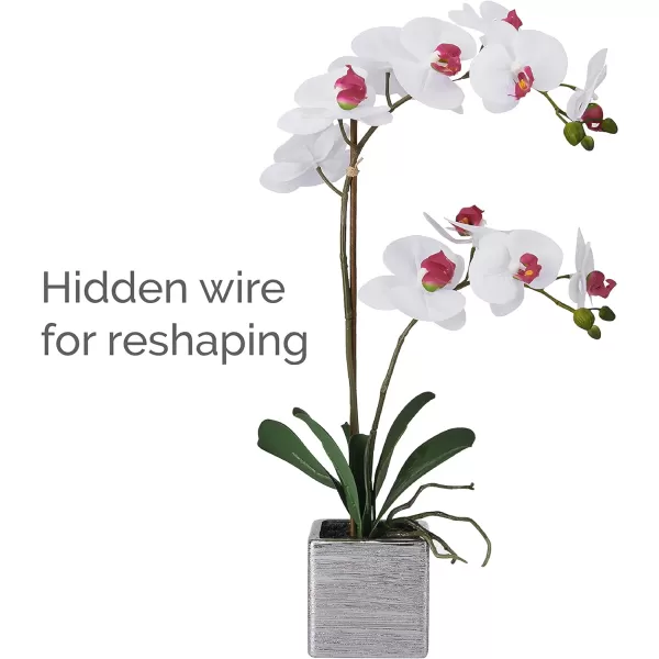 Mikasa Artificial Orchid in Pot, Real Touch Phalaenopsis Orchid, Silver Texture Ceramic Pot, 22-Inch Double Branch, White/Pink