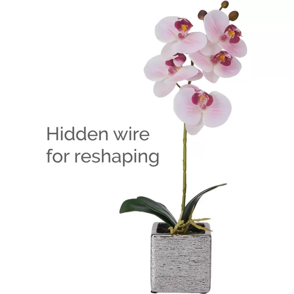 Mikasa Artificial Orchid in Pot, Real Touch Phalaenopsis Orchid, Silver Texture Ceramic Pot, 22-Inch Double Branch, White/Pink