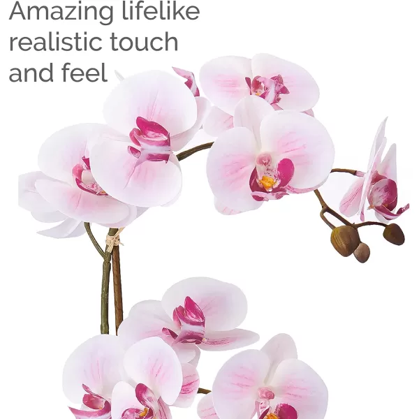 Mikasa Artificial Orchid in Pot, Real Touch Phalaenopsis Orchid, Silver Texture Ceramic Pot, 22-Inch Double Branch, White/Pink
