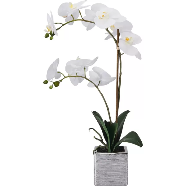 Mikasa Artificial Orchid in Pot, Real Touch Phalaenopsis Orchid, Silver Texture Ceramic Pot, 22-Inch Double Branch, White/Pink