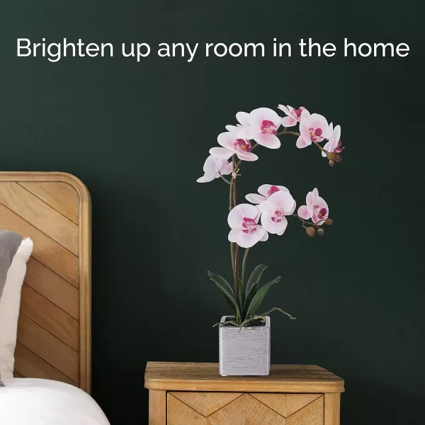 Mikasa Artificial Orchid in Pot, Real Touch Phalaenopsis Orchid, Silver Texture Ceramic Pot, 22-Inch Double Branch, White/Pink