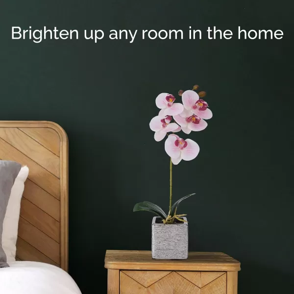 Mikasa Artificial Orchid in Pot, Real Touch Phalaenopsis Orchid, Silver Texture Ceramic Pot, 22-Inch Double Branch, White/Pink