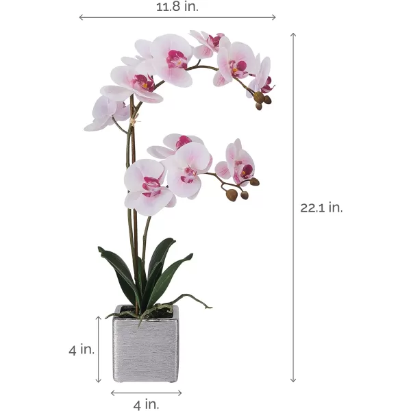 Mikasa Artificial Orchid in Pot, Real Touch Phalaenopsis Orchid, Silver Texture Ceramic Pot, 22-Inch Double Branch, White/Pink