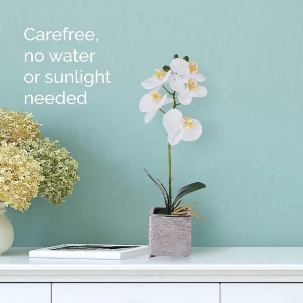 Mikasa Artificial Orchid in Pot, Real Touch Phalaenopsis Orchid, Silver Texture Ceramic Pot, 22-Inch Double Branch, White/Pink