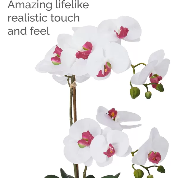 Mikasa Artificial Orchid in Pot, Real Touch Phalaenopsis Orchid, Silver Texture Ceramic Pot, 22-Inch Double Branch, White/Pink