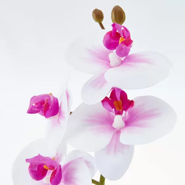 Mikasa Artificial Real Touch Phalaenopsis Orchid Flower in Pot, Faux Floral Décor for Wedding, Home, Office, Party, Hotel, Salon, 15-Inch, White Pink