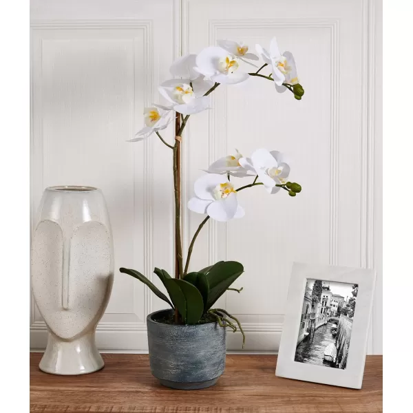 Mikasa Artificial Real Touch Phalaenopsis Orchid Flower in Pot, Faux Floral Décor for Wedding, Home, Office, Party, Hotel, Salon, 15-Inch, White Pink
