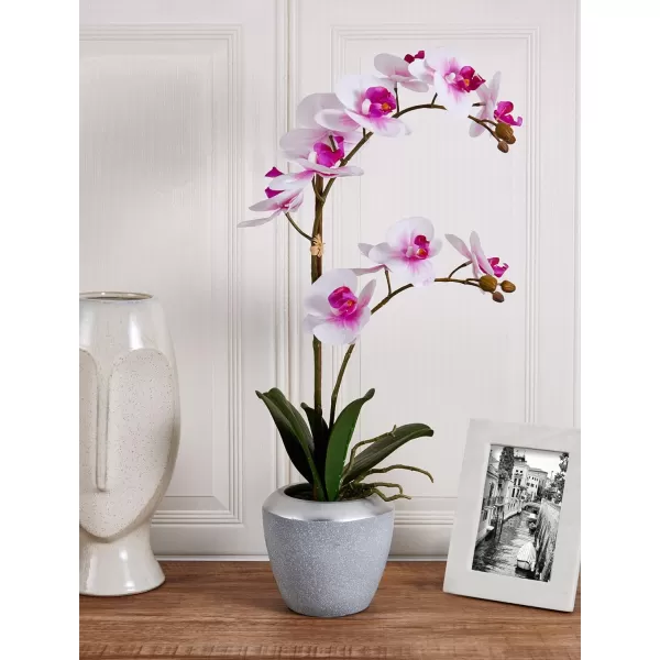 Mikasa Artificial Real Touch Phalaenopsis Orchid Flower in Pot, Faux Floral Décor for Wedding, Home, Office, Party, Hotel, Salon, 15-Inch, White Pink
