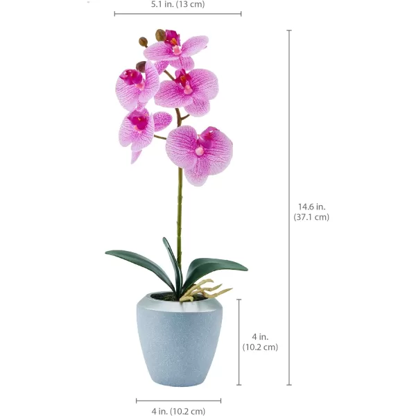 Mikasa Artificial Real Touch Phalaenopsis Orchid Flower in Pot, Faux Floral Décor for Wedding, Home, Office, Party, Hotel, Salon, 15-Inch, White Pink