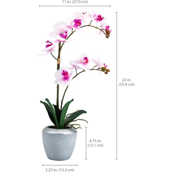 Mikasa Artificial Real Touch Phalaenopsis Orchid Flower in Pot, Faux Floral Décor for Wedding, Home, Office, Party, Hotel, Salon, 15-Inch, White Pink