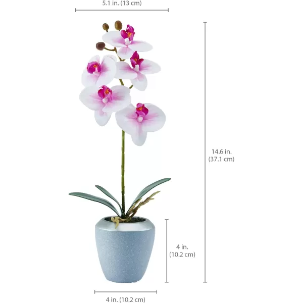 Mikasa Artificial Real Touch Phalaenopsis Orchid Flower in Pot, Faux Floral Décor for Wedding, Home, Office, Party, Hotel, Salon, 15-Inch, White Pink
