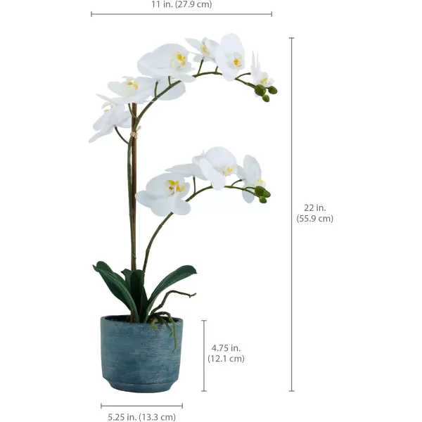Mikasa Artificial Real Touch Phalaenopsis Orchid Flower in Pot, Faux Floral Décor for Wedding, Home, Office, Party, Hotel, Salon, 15-Inch, White Pink