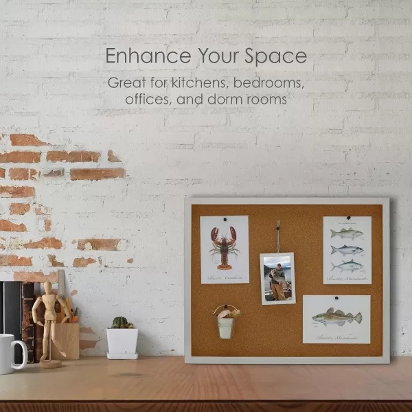 Mikasa Gold Framed Calendar White Cork Board Combo, Includes 5 Tacks and 1 Marker, 24x19
