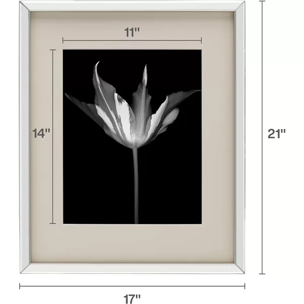 Mikasa Gold Mirrored 16x20 Matted to 11x14 Picture Frames, Horizontal or Vertica Display