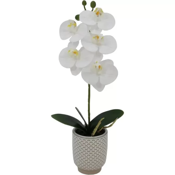 Elements Mikasa Artificial Orchid in Pot, Real Touch Phalaenopsis Orchid, Faux Floral Décor for Wedding, Home, Office, Party, Hotel, Salon, 16-Inch, White