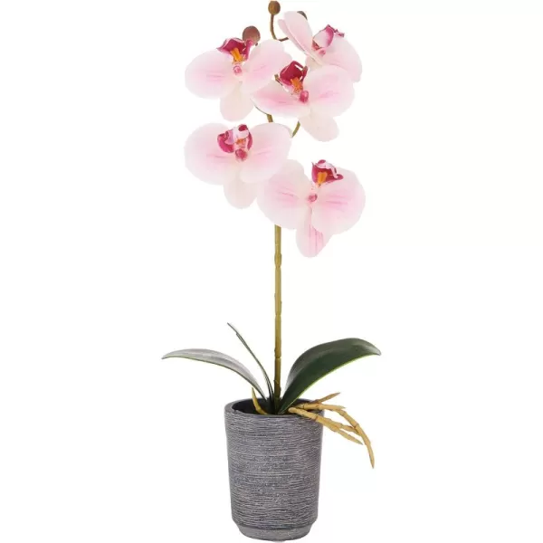 Mikasa Artificial Orchid in Pot, Real Touch Phalaenopsis Orchid, Distressed Grey Cement Pot, 15-Inch Single Branch, Watercolor Pink