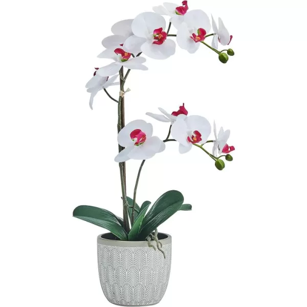 Mikasa Artificial Orchid in Pot, Real Touch Phalaenopsis Orchid, Embossed Fan Cement Pot, 16-Inch Single Branch, White/Yellow