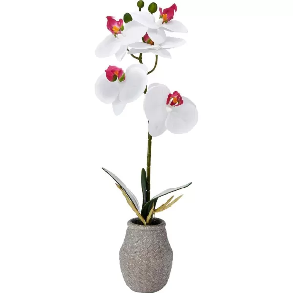 Mikasa Artificial Orchid in Pot, Real Touch Phalaenopsis Orchid, Embossed Weave Cement Pot, 16-Inch Single Branch, White/Pink