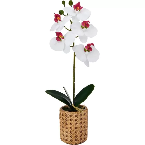 Mikasa Artificial Orchid in Pot, Real Touch Phalaenopsis Orchid, Embossed Weave Cement Pot, 22-Inch Double Branch, Watercolor Pink