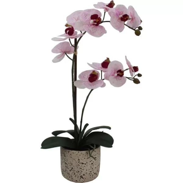 Mikasa Artificial Orchid in Pot, Real Touch Phalaenopsis Orchid, Embossed Weave Cement Pot, 22-Inch Double Branch, Watercolor Pink