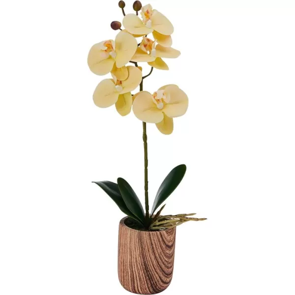 Mikasa Artificial Orchid in Pot, Real Touch Phalaenopsis Orchid, Embossed Weave Cement Pot, 22-Inch Double Branch, Watercolor Pink