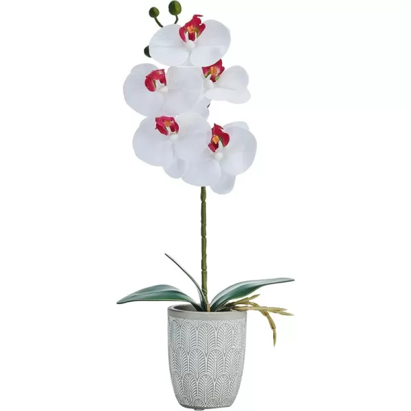 Mikasa Artificial Orchid in Pot, Real Touch Phalaenopsis Orchid, Embossed Weave Cement Pot, 22-Inch Double Branch, Watercolor Pink