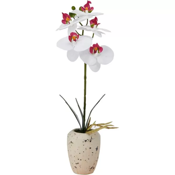 Mikasa Artificial Orchid in Pot, Real Touch Phalaenopsis Orchid, Faux Aged Cement Pot, 22-Inch Double Branch, White/Pink