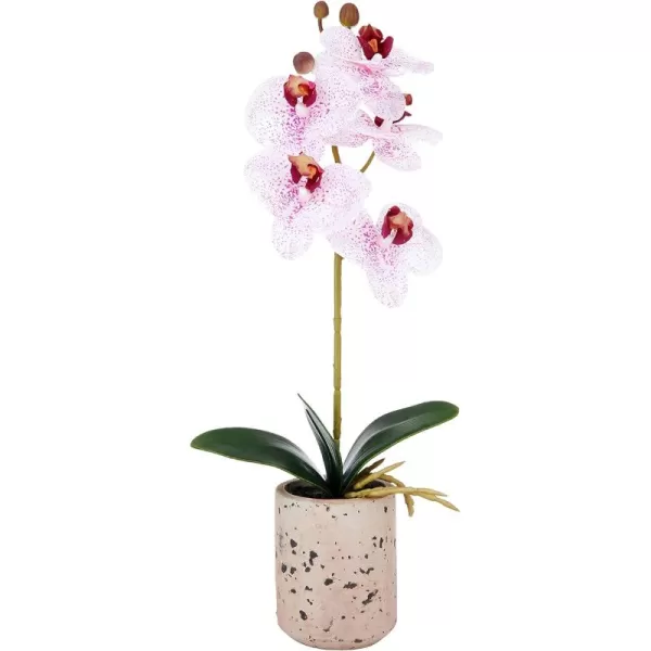 Mikasa Artificial Orchid in Pot, Real Touch Phalaenopsis Orchid, Faux Aged Cement Pot, 22-Inch Double Branch, White/Pink
