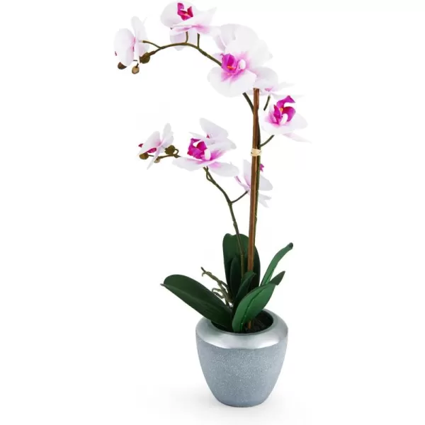 Mikasa Artificial Real Touch Phalaenopsis Orchid Flower in Pot, Faux Floral Décor for Wedding, Home, Office, Party, Hotel, Salon, 15-Inch, White Pink