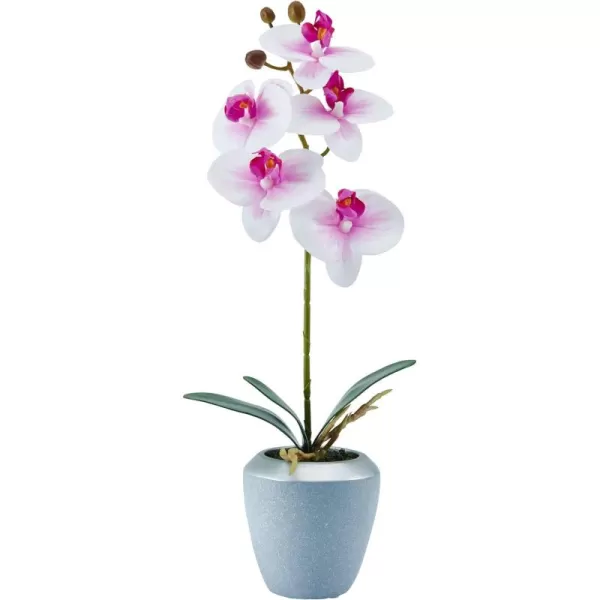 Mikasa Artificial Real Touch Phalaenopsis Orchid Flower in Pot, Faux Floral Décor for Wedding, Home, Office, Party, Hotel, Salon, 15-Inch, White Pink