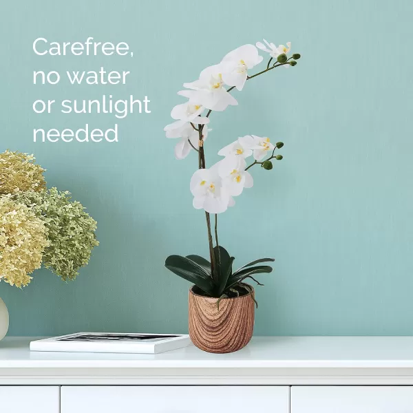 Mikasa Artificial Orchid in Pot, Real Touch Phalaenopsis Orchid, Faux Wood Cement Pot, 16-Inch Single Branch, Rosewood