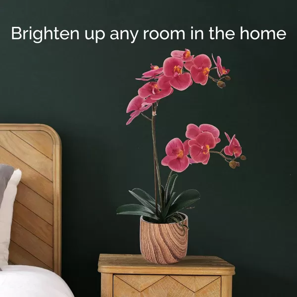Mikasa Artificial Orchid in Pot, Real Touch Phalaenopsis Orchid, Faux Wood Cement Pot, 16-Inch Single Branch, Rosewood