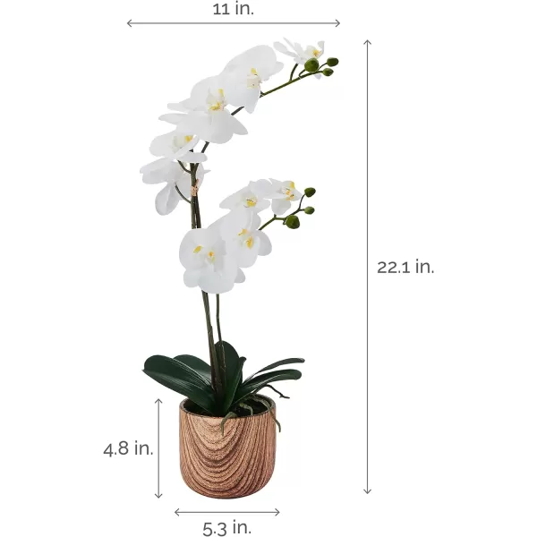 Mikasa Artificial Orchid in Pot, Real Touch Phalaenopsis Orchid, Faux Wood Cement Pot, 16-Inch Single Branch, Rosewood