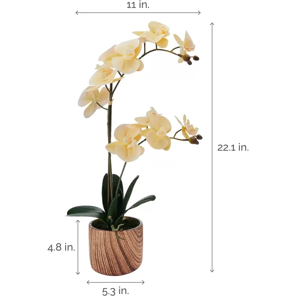 Mikasa Artificial Orchid in Pot, Real Touch Phalaenopsis Orchid, Faux Wood Cement Pot, 16-Inch Single Branch, Rosewood