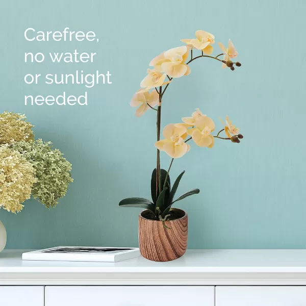 Mikasa Artificial Orchid in Pot, Real Touch Phalaenopsis Orchid, Faux Wood Cement Pot, 16-Inch Single Branch, Rosewood