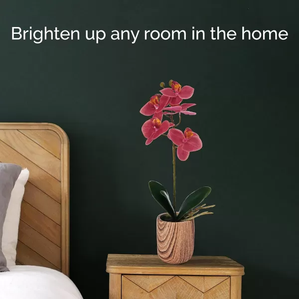 Mikasa Artificial Orchid in Pot, Real Touch Phalaenopsis Orchid, Faux Wood Cement Pot, 16-Inch Single Branch, Rosewood