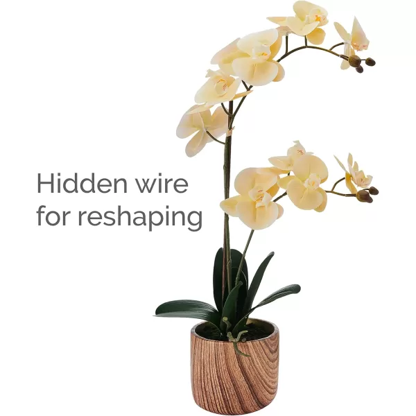 Mikasa Artificial Orchid in Pot, Real Touch Phalaenopsis Orchid, Faux Wood Cement Pot, 16-Inch Single Branch, Rosewood