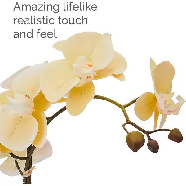 Mikasa Artificial Orchid in Pot, Real Touch Phalaenopsis Orchid, Faux Wood Cement Pot, 16-Inch Single Branch, Rosewood